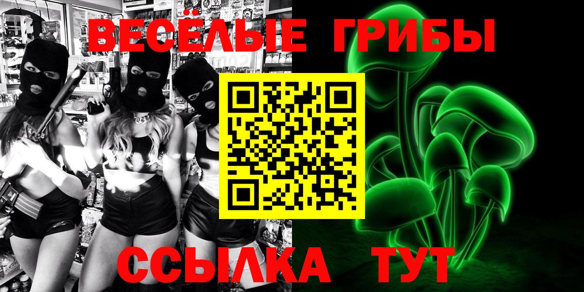 Краснознаменск  Галлюциногенные грибы мухоморы  наркота  Вход с VPN  Галлюциногенные грибы Psilocybe 